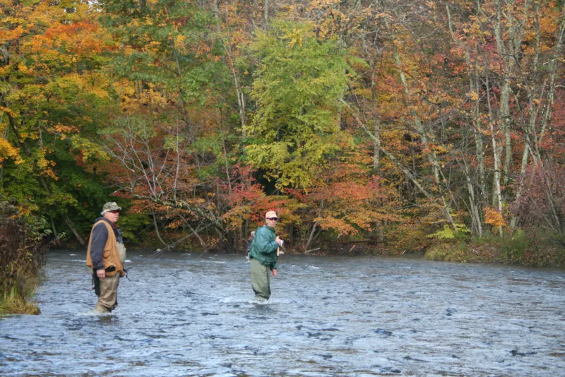 Two anglers in waders fishing the Salmon River under orange and gold fall trees