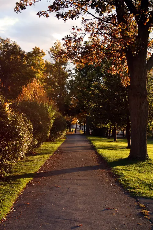 A tree-lined path through Thompson Park in fall color