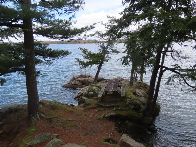 Pines and a picnic table on the rocky shore of Wellesley Island State Park