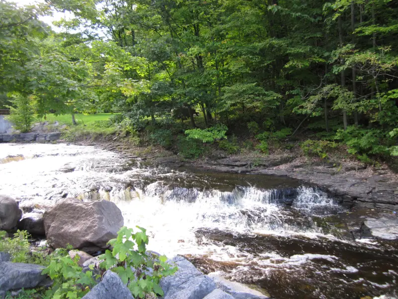 A creek tumbling over rocks under green trees at Whetstone Gulf State Park
